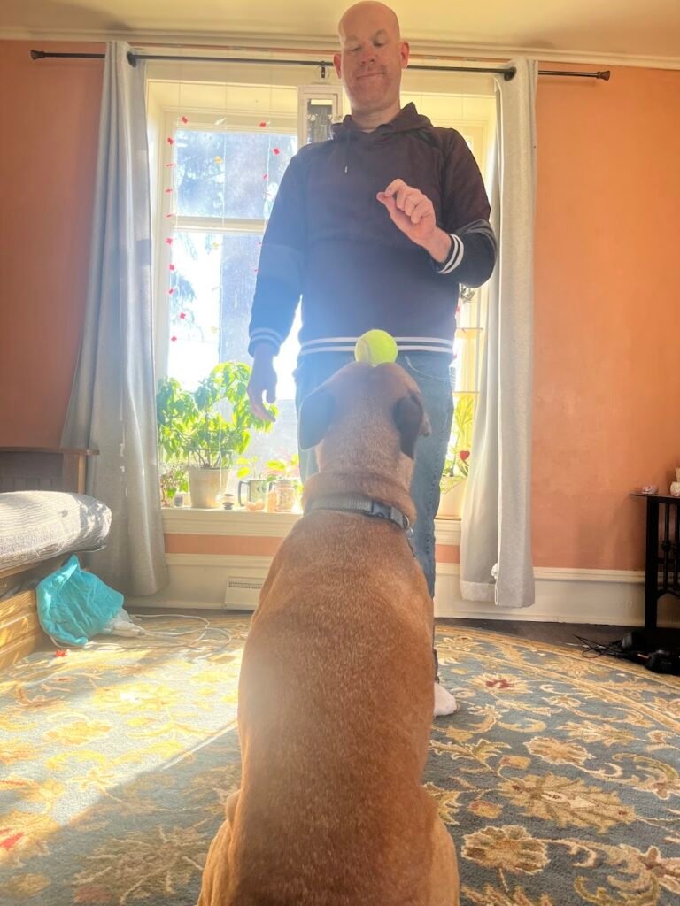 one-on-one in-home dog training in Edgerton, Janesville and surrounding communities.